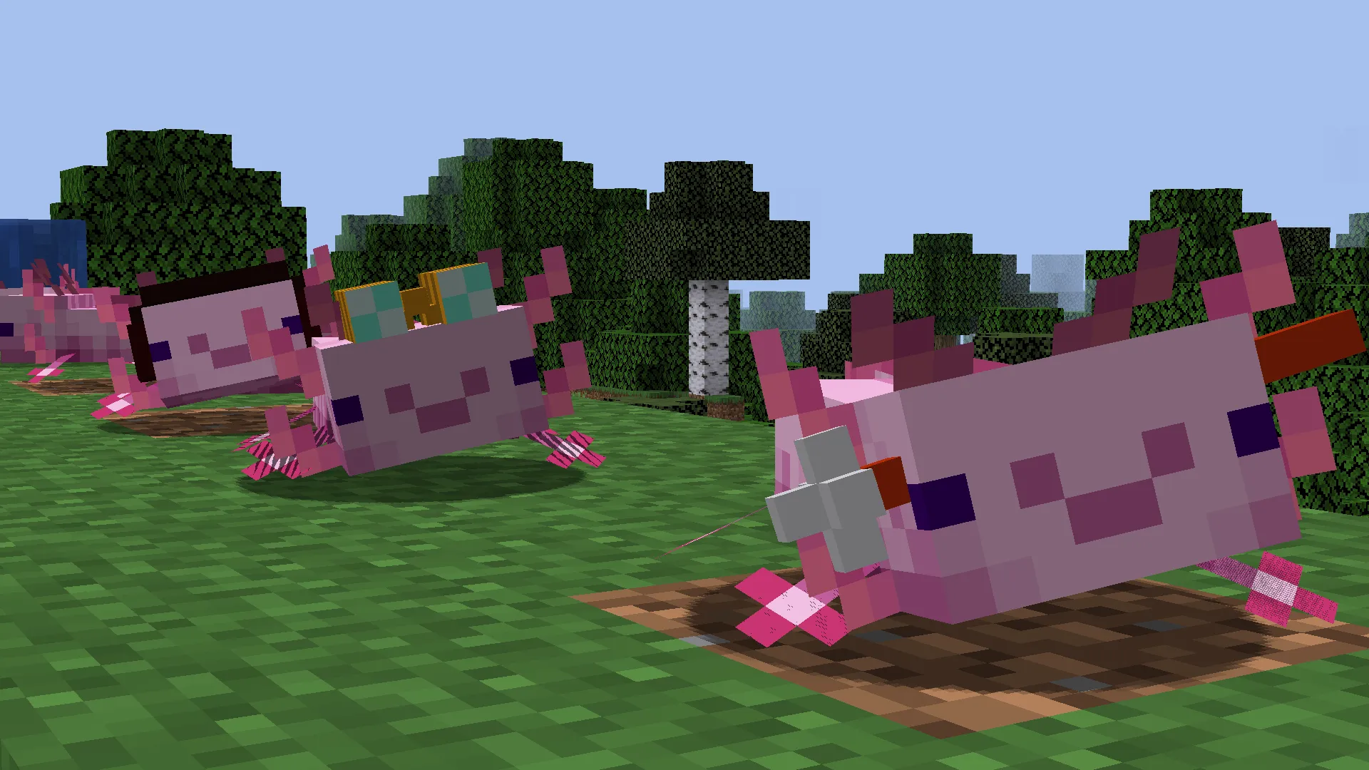 Axolotls with hats (vanilla/barebones version) — скриншот 2 (Текстуры, Minecraft)