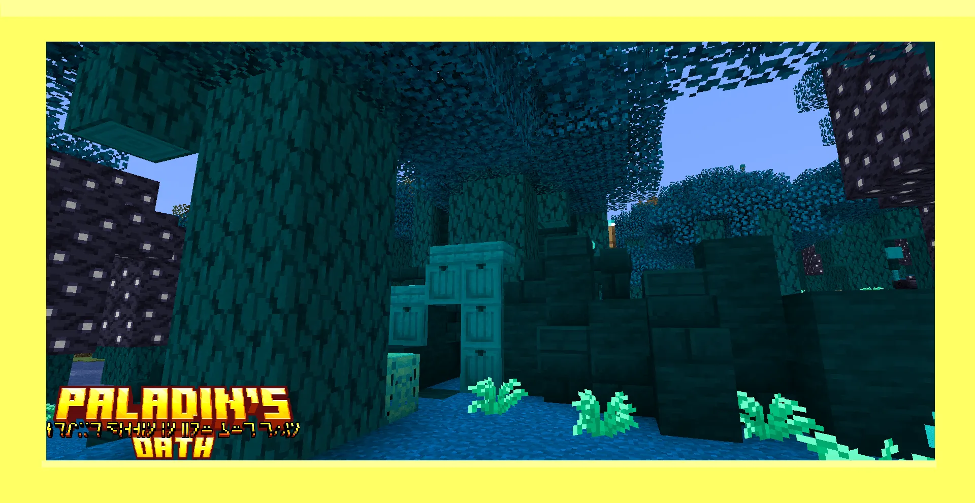 Paladin's Oath, Моды, Minecraft