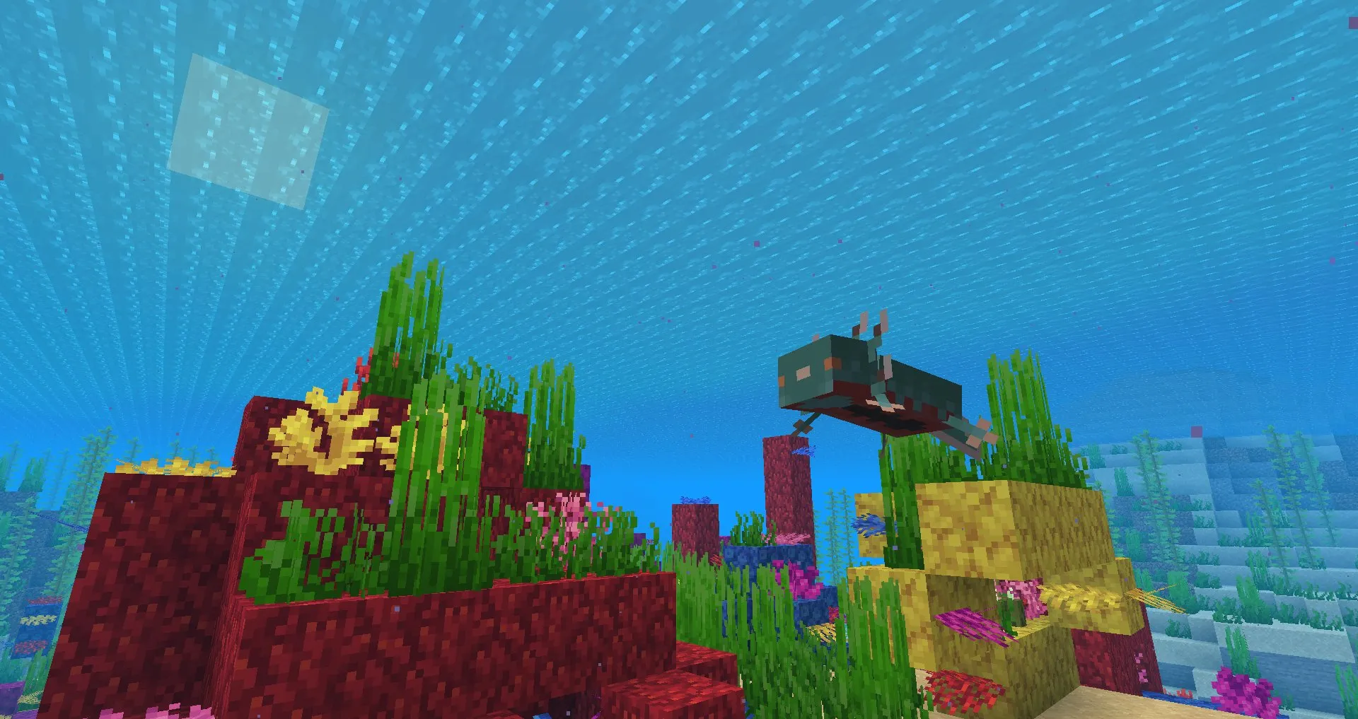 Holo Axolotl (require Optifine), Текстуры, Minecraft