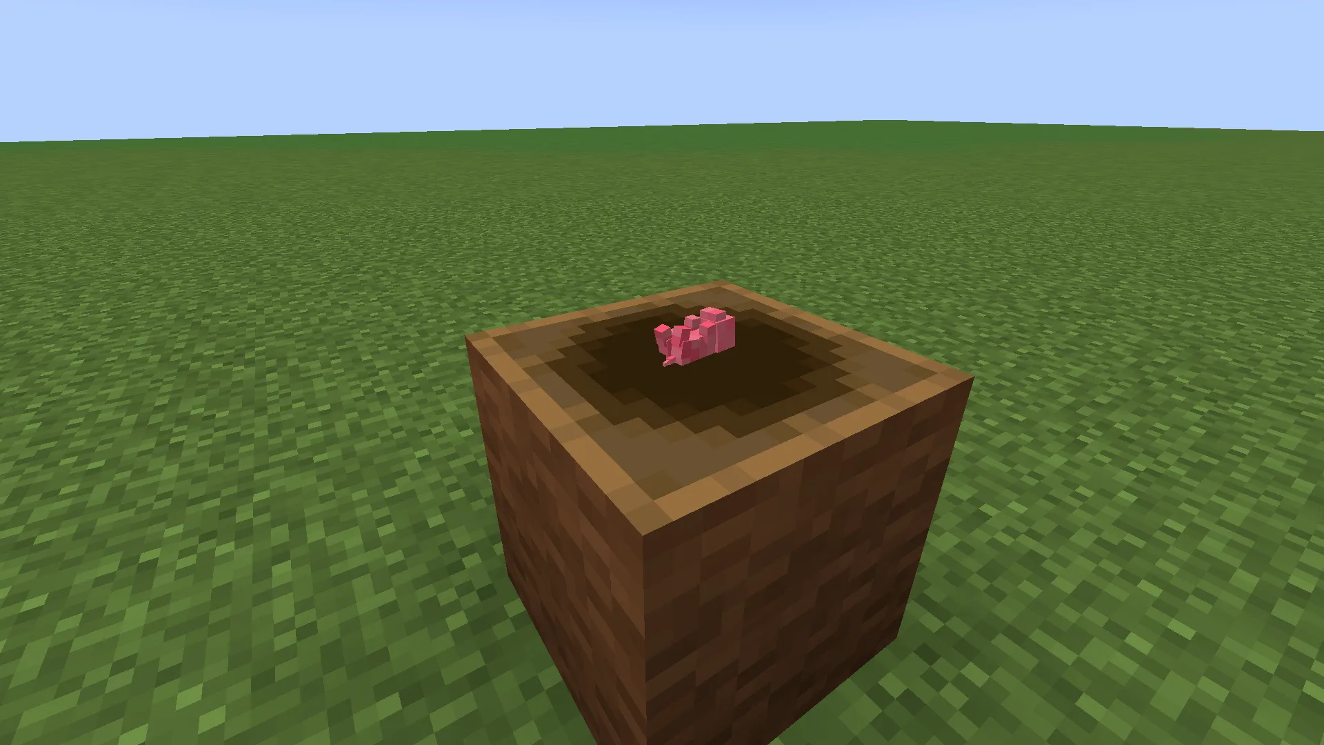 Rats and Cats — скриншот 7 (Моды, Minecraft)