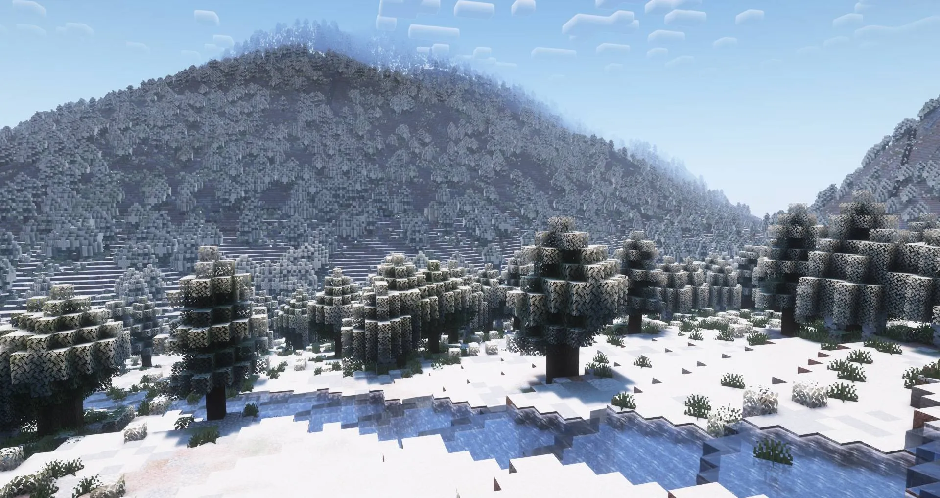 Real Cities at 1:1 Scale (Arnis), Карты, Minecraft