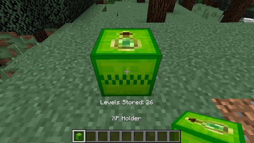 XP Holder, Моды, Minecraft