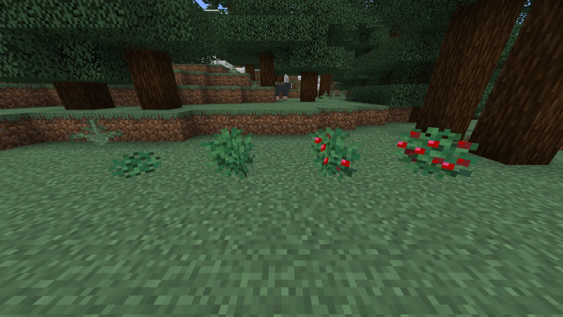 Block Berry Bushes — скриншот 2 (Текстуры, Minecraft)