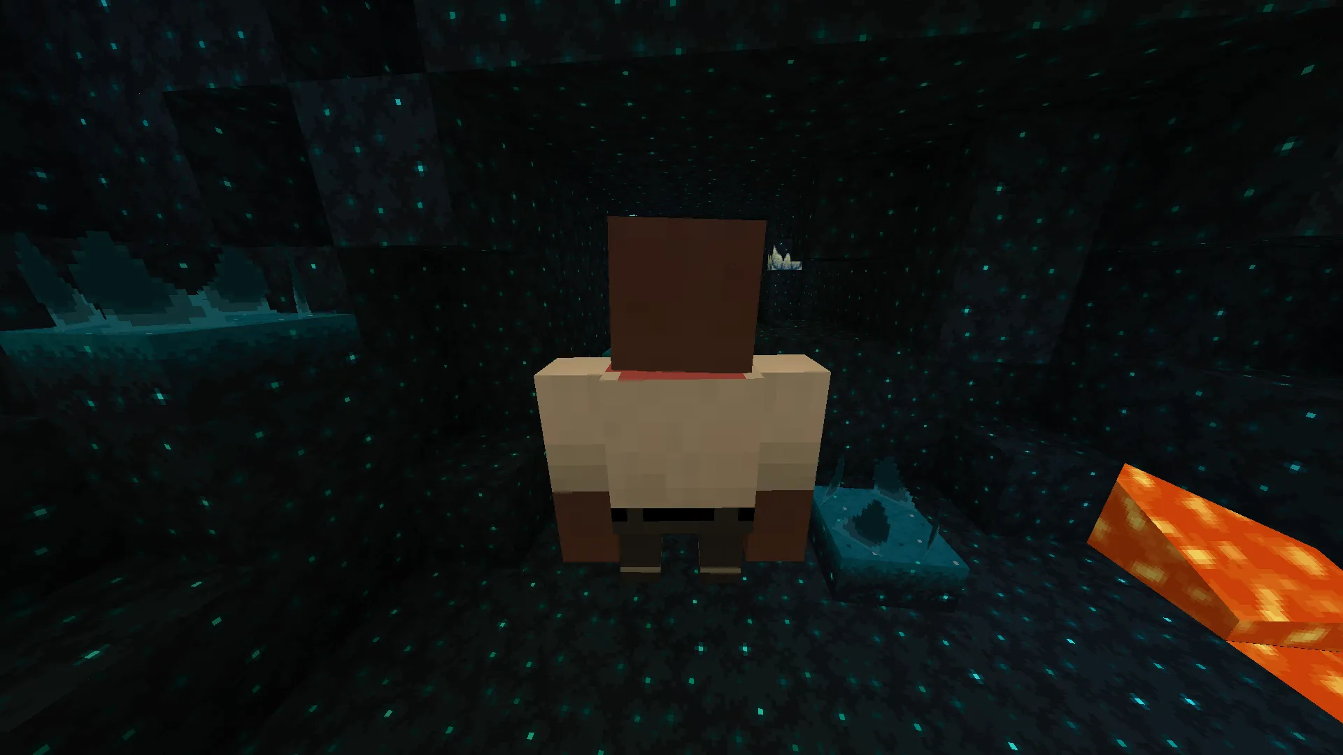 L4D1 Louis Warden — скриншот 2 (Текстуры, Minecraft)