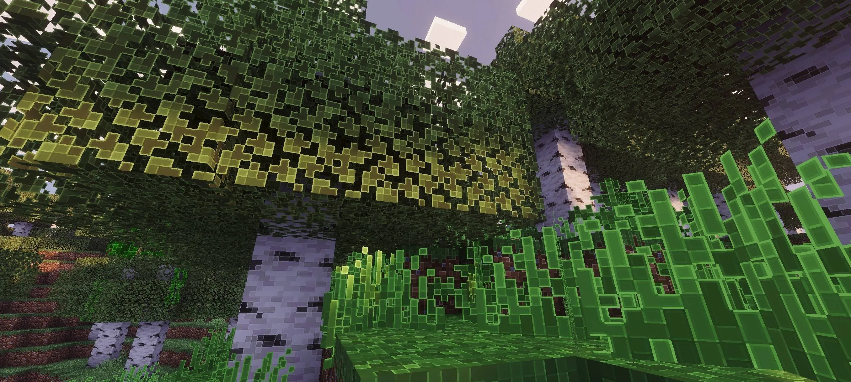 Outline Texture Pack JE, Текстуры, Minecraft