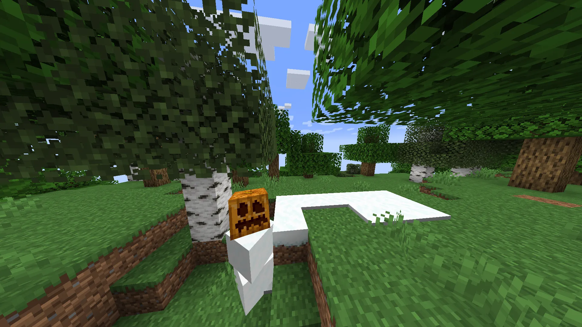 Accurate Golems, Текстуры, Minecraft
