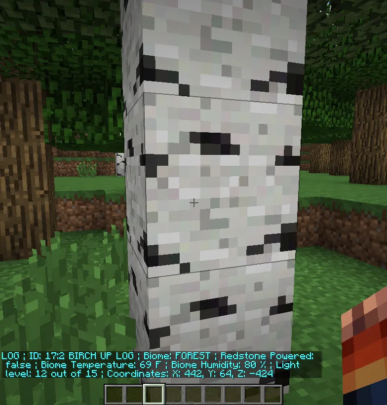 Super BlockInfo — скриншот 2 (Плагины, Minecraft)