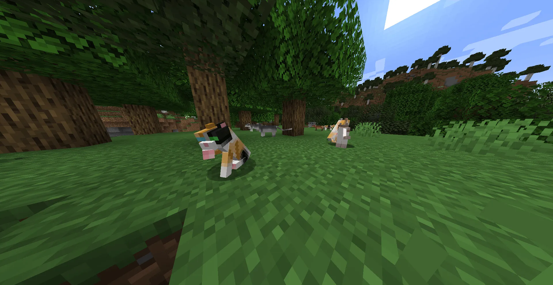 Warrior Cats Events, Моды, Minecraft