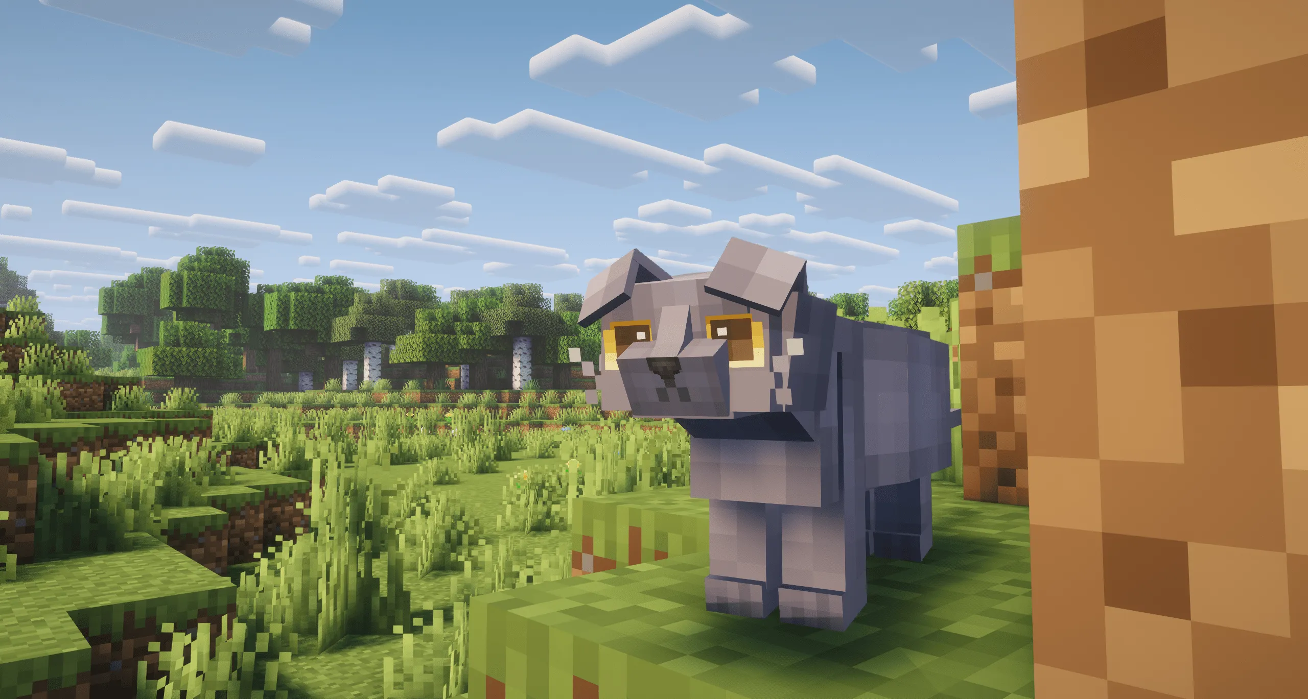 Refined Cats, Текстуры, Minecraft