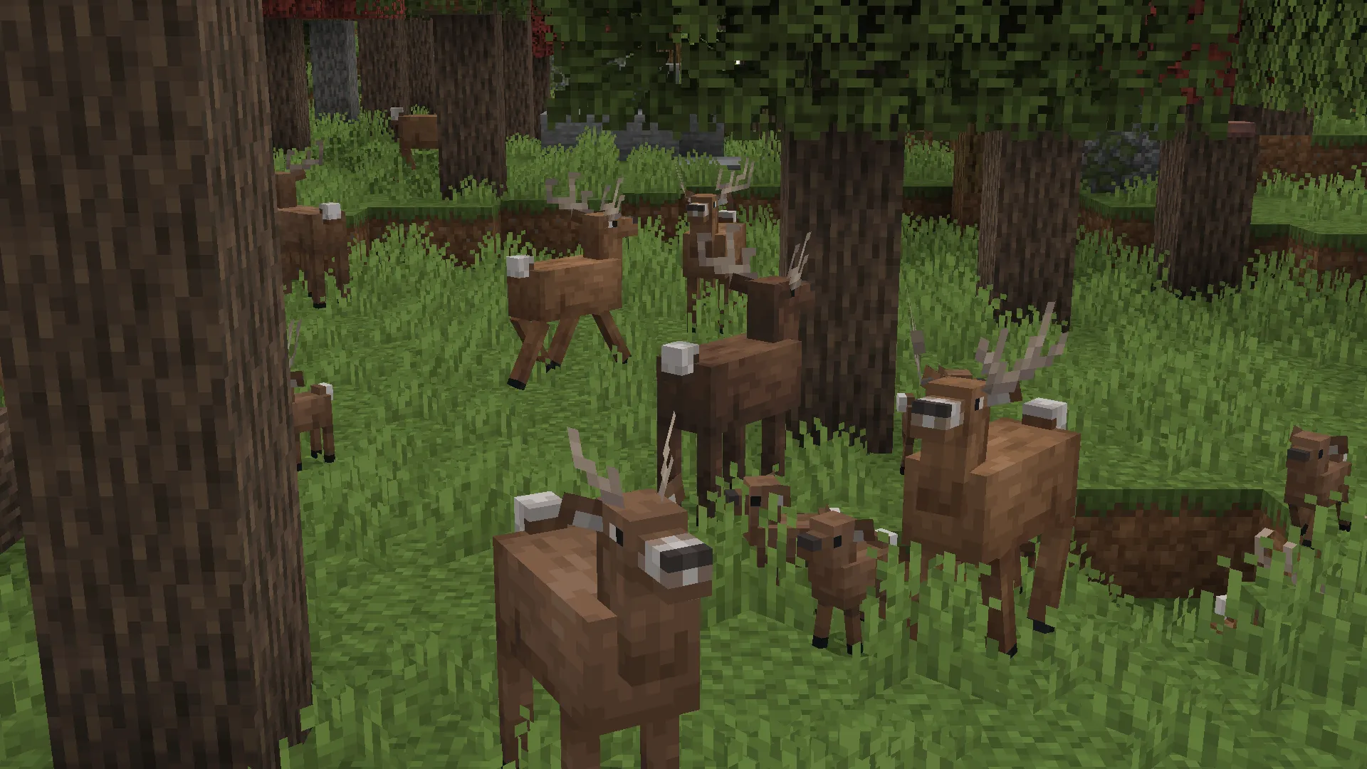 No Mans Land, Моды, Minecraft