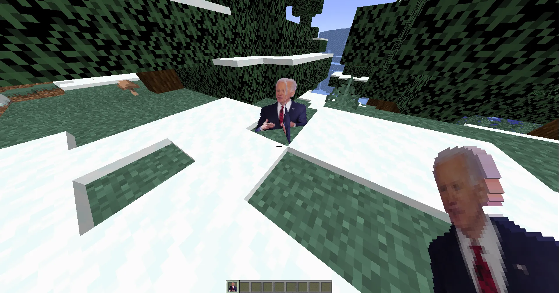Biden Flower Texture, Текстуры, Minecraft