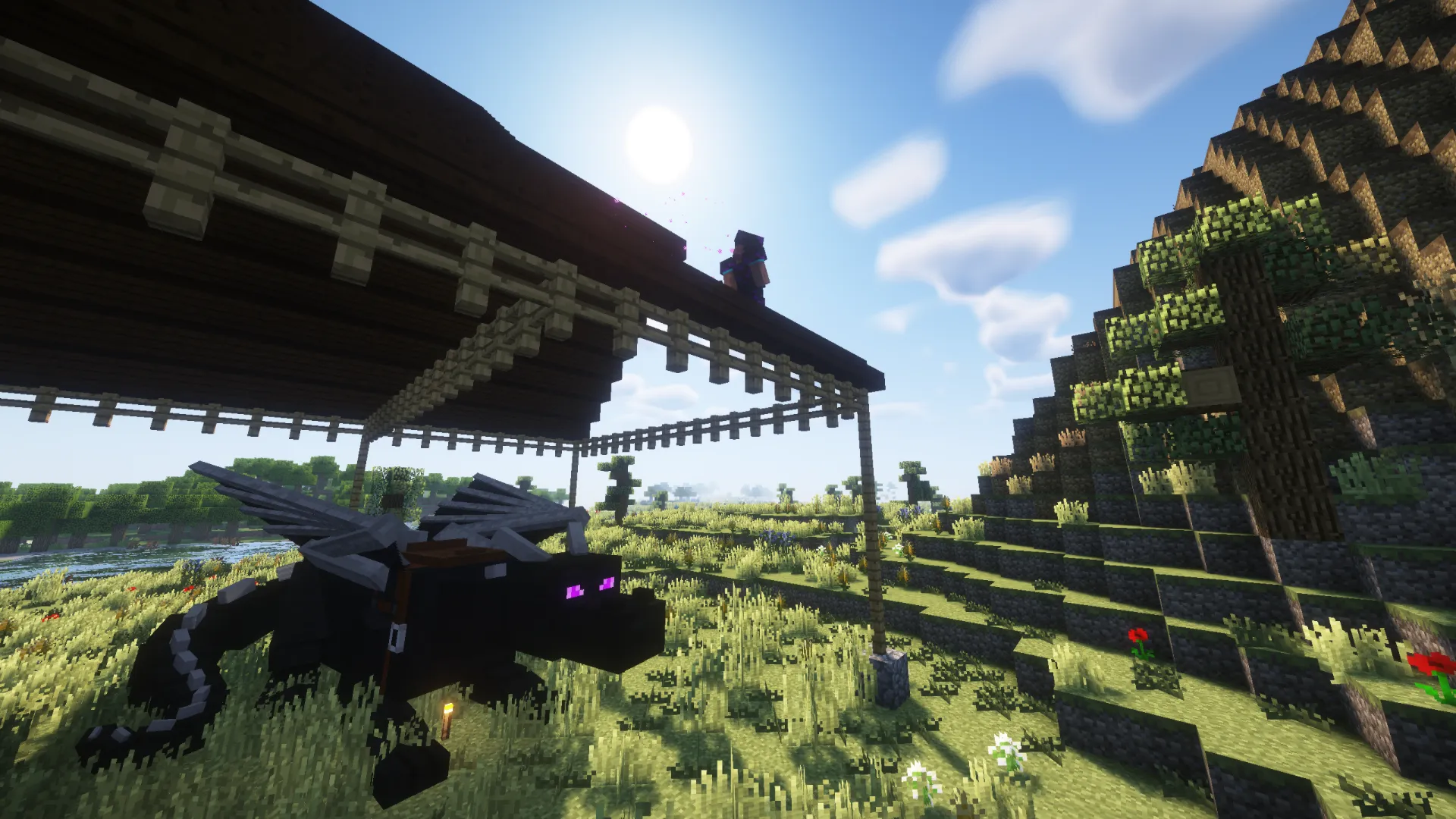 Dragon Mounts 2, Моды, Minecraft