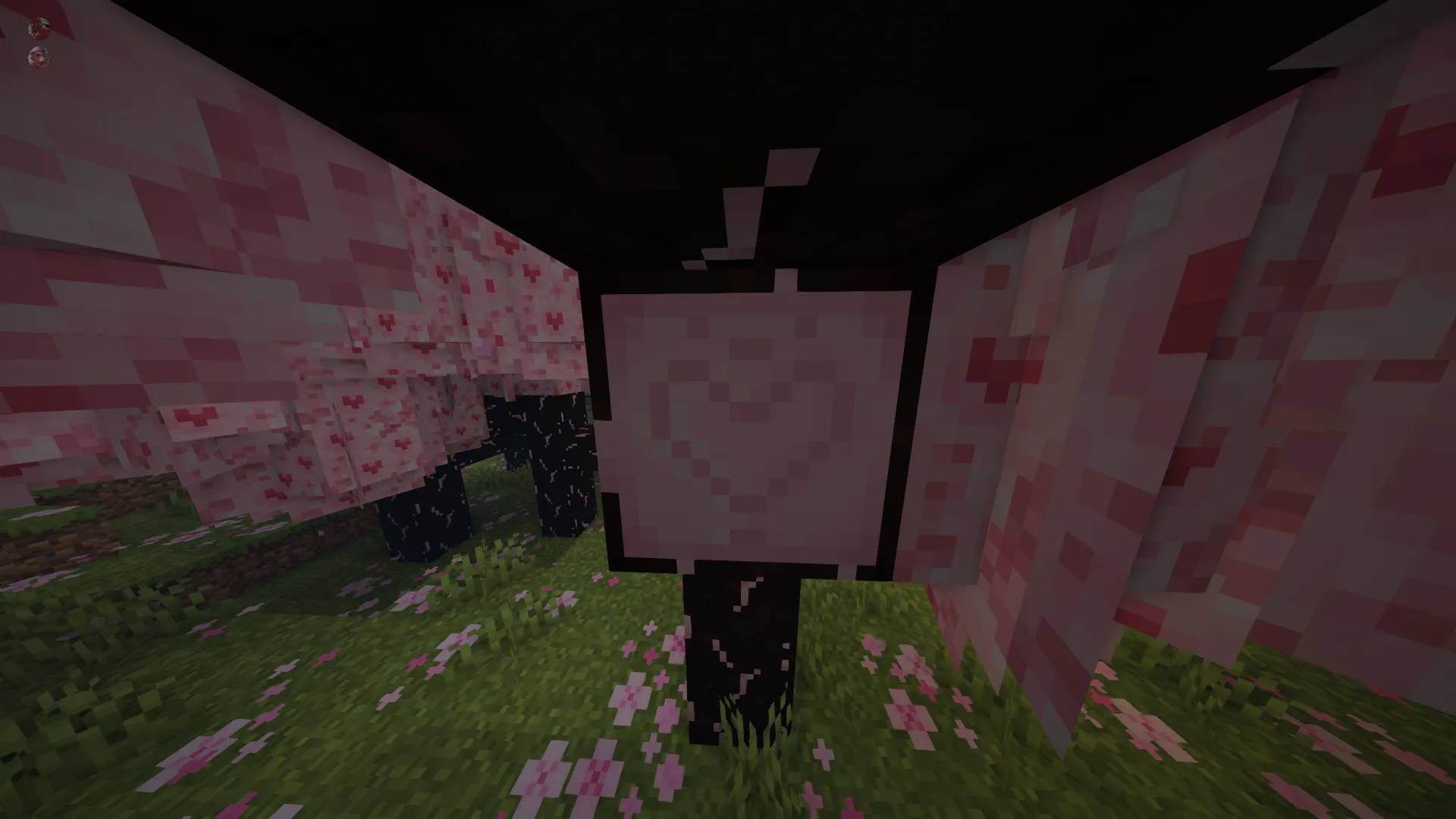 Cherry Hearts, Текстуры, Minecraft