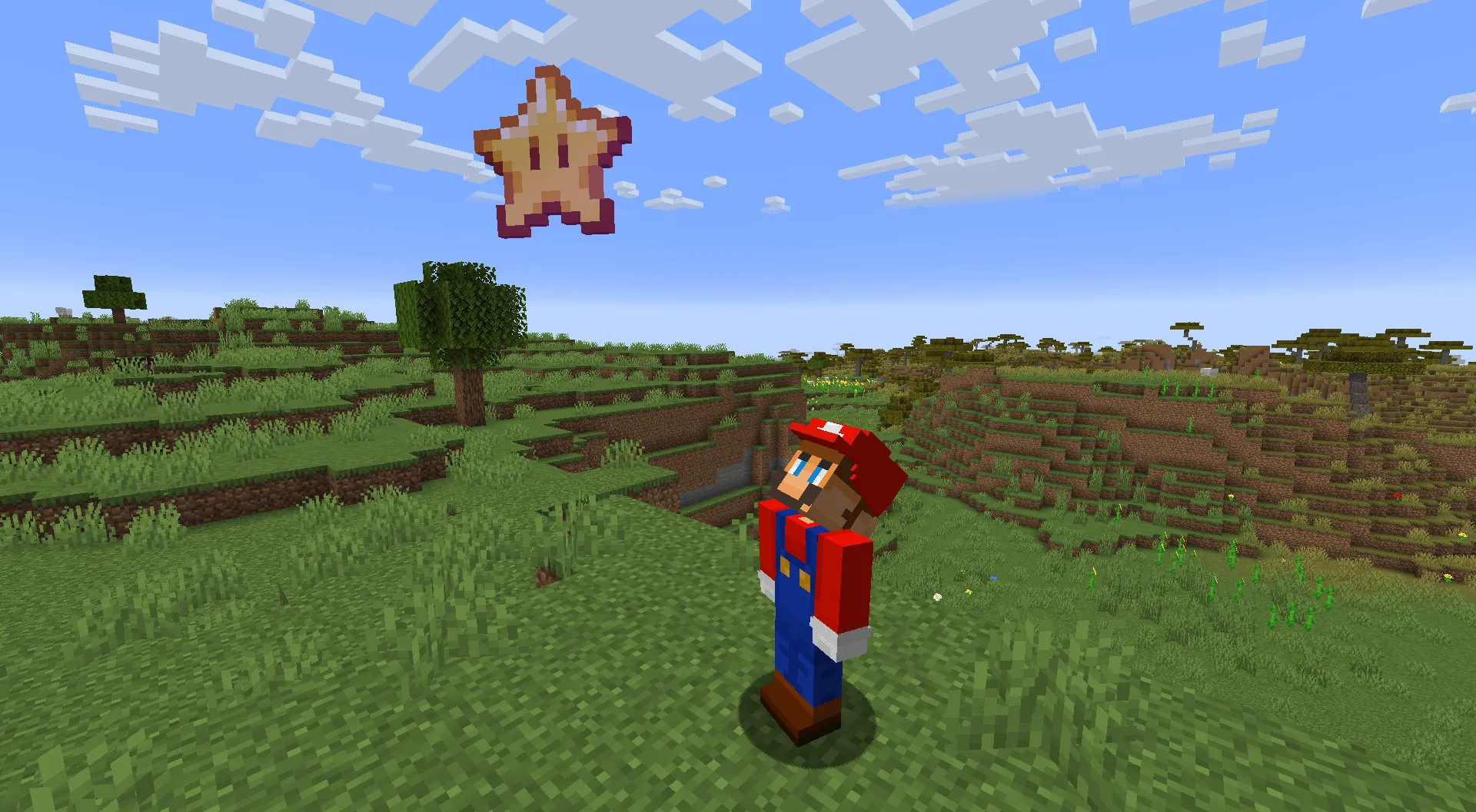 Mario Clothing Mod, Моды, Minecraft