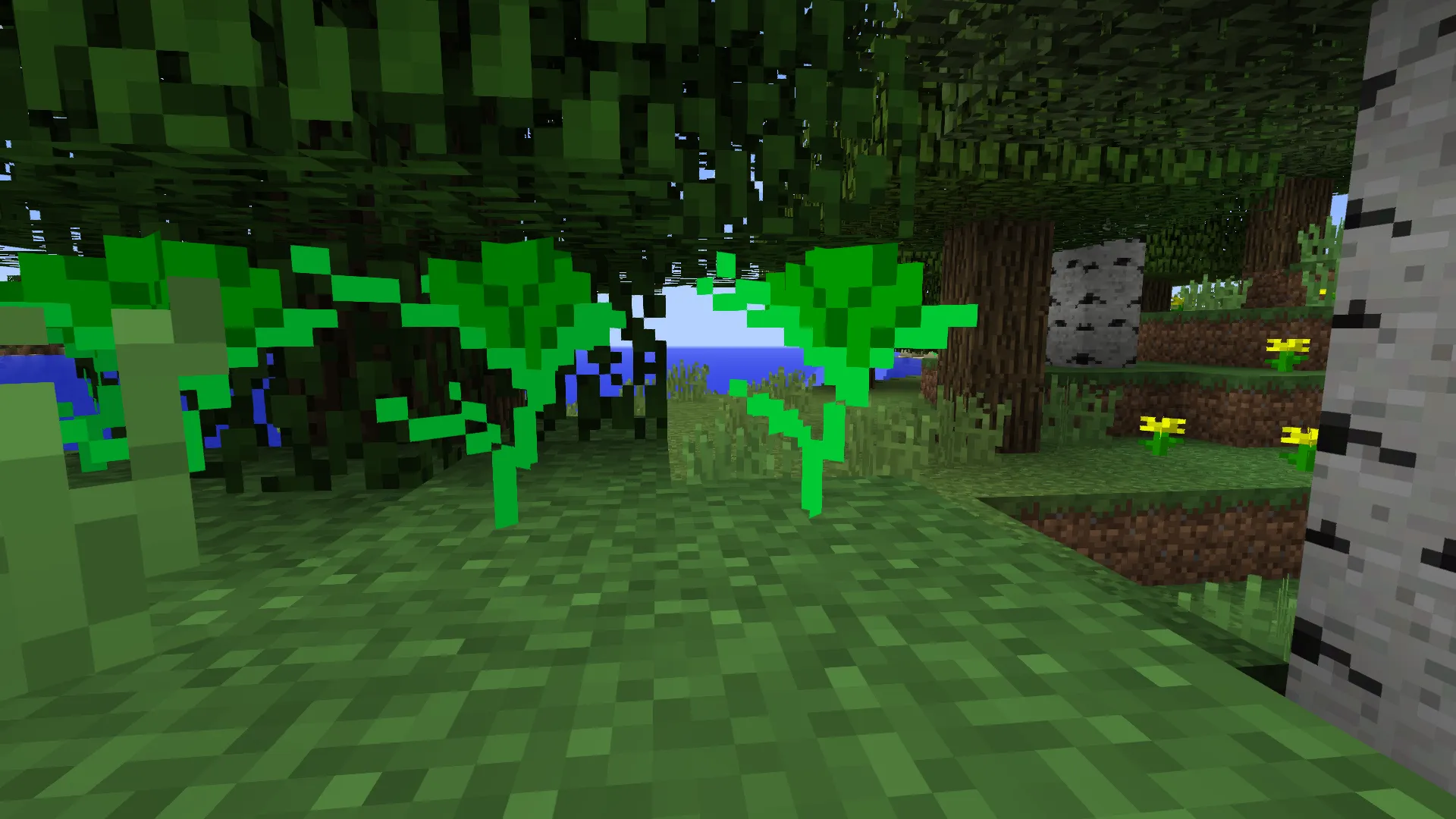 Nish, Моды, Minecraft