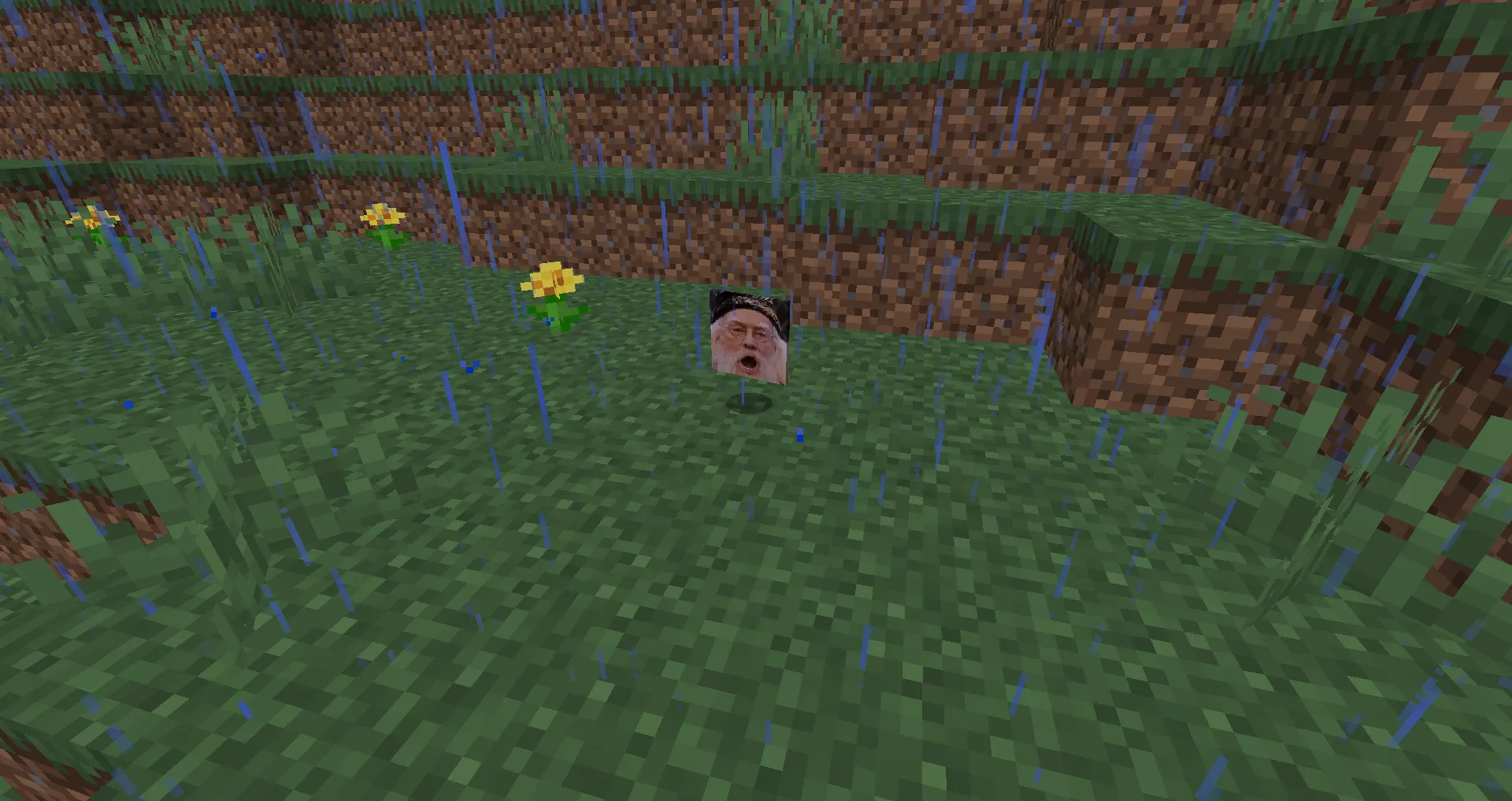 Noahs Chaos, Моды, Minecraft