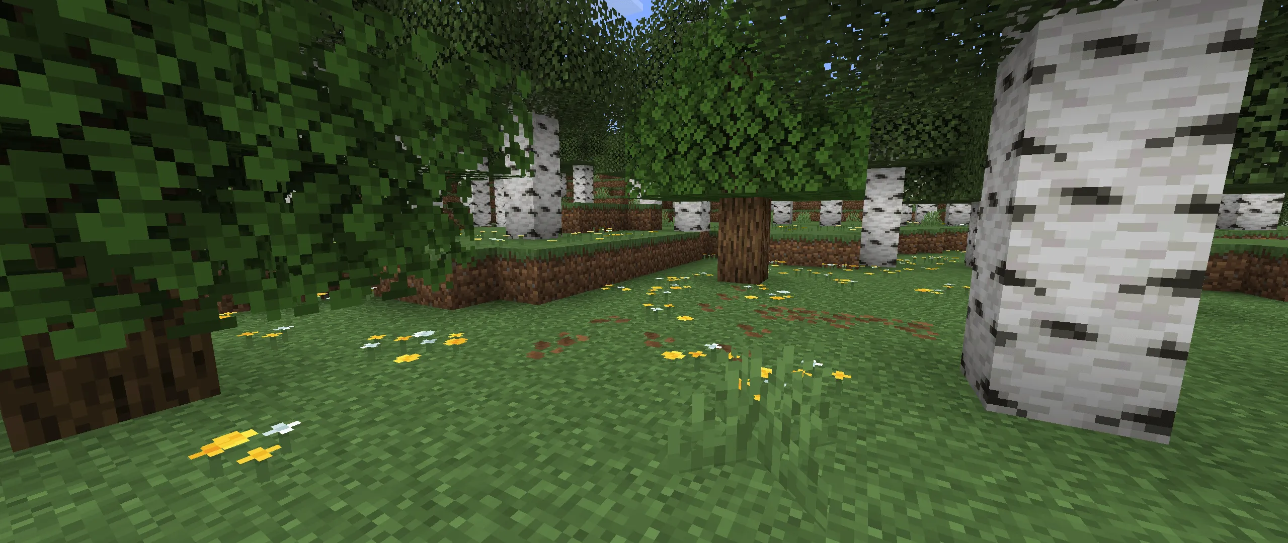 Better Grass and Foliage, Текстуры, Minecraft