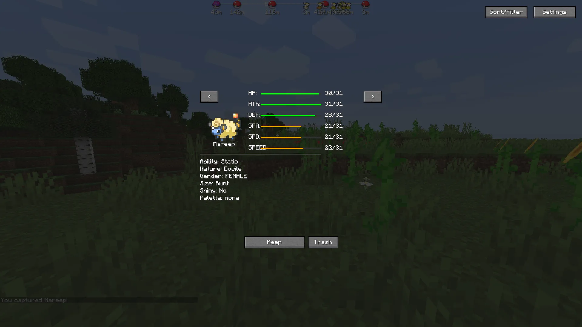 CatchInfo, Моды, Minecraft
