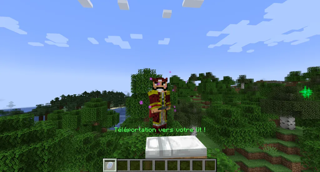 Hearthstone Forge, Моды, Minecraft