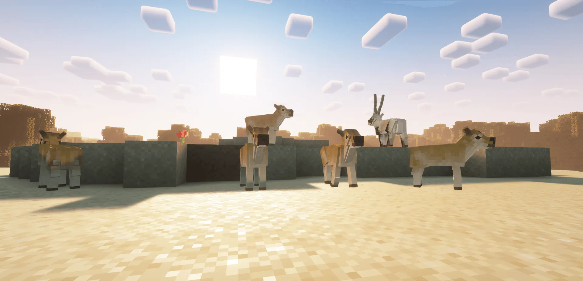 A Zoological Project, Моды, Minecraft