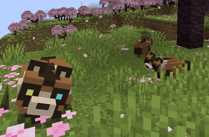 Tanukis, Моды, Minecraft