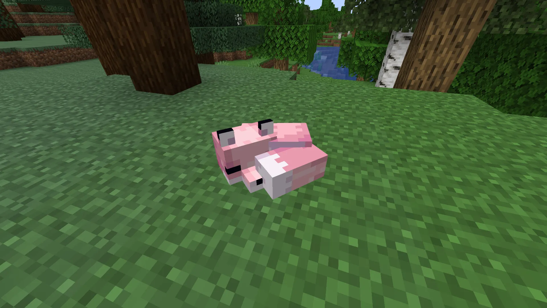 Pink Foxes [Remade] — скриншот 2 (Текстуры, Minecraft)
