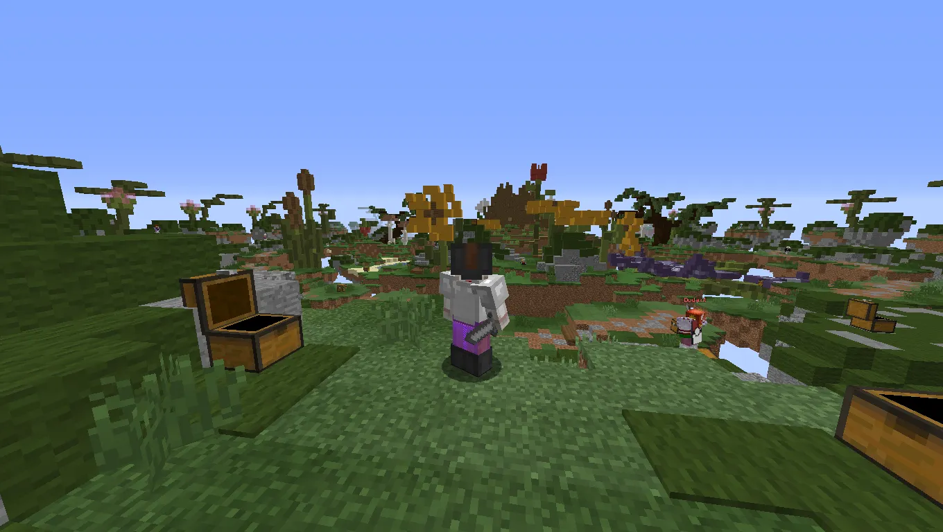 ItemBound SkyClash, Текстуры, Minecraft