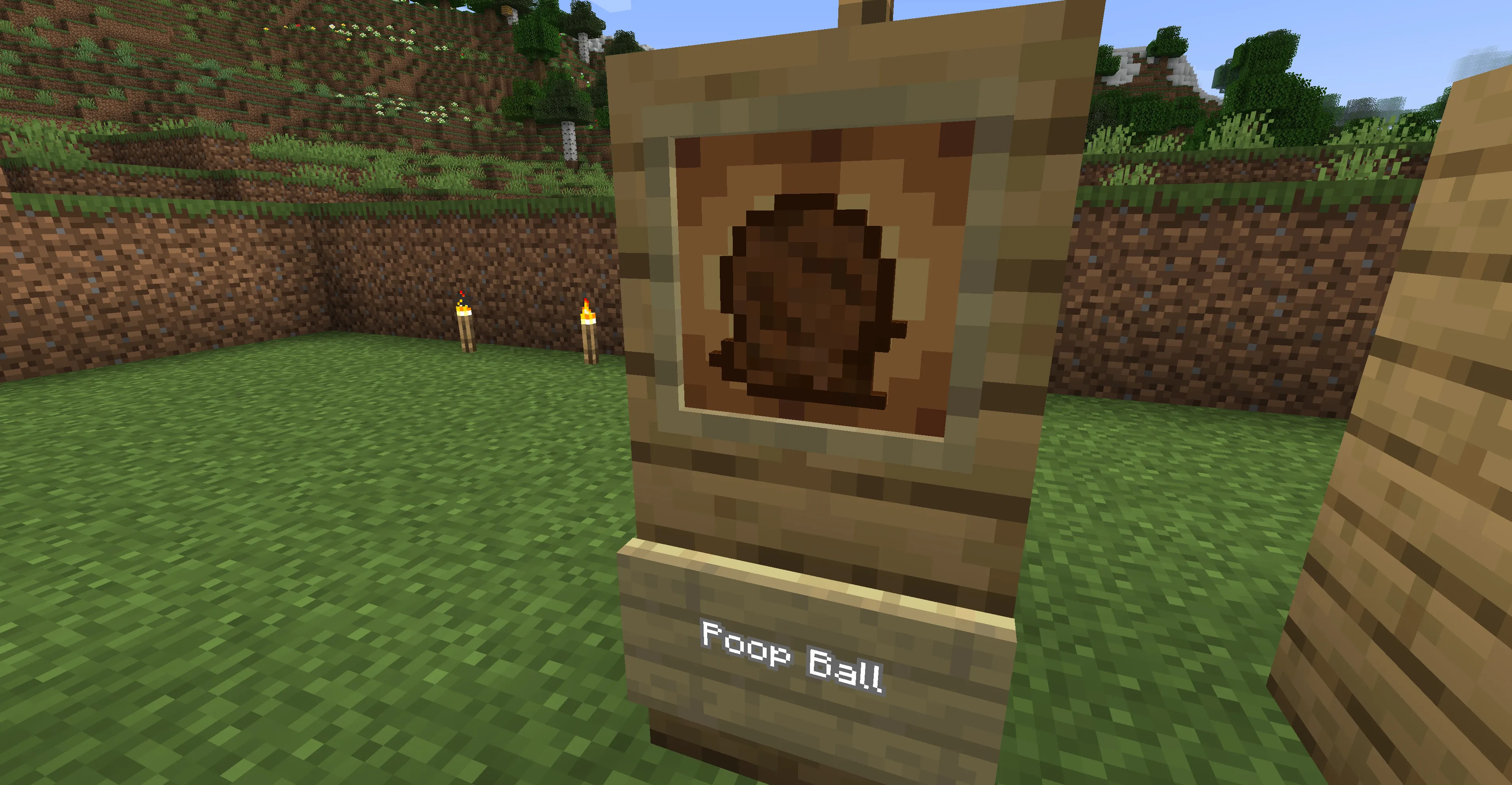 Real Poop Mod, Моды, Minecraft
