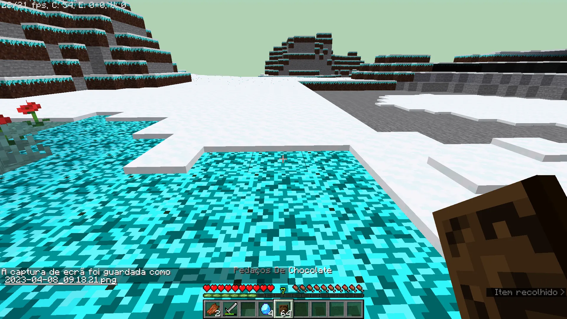 The New World (Rubens's Version) — скриншот 3 (Моды, Minecraft)