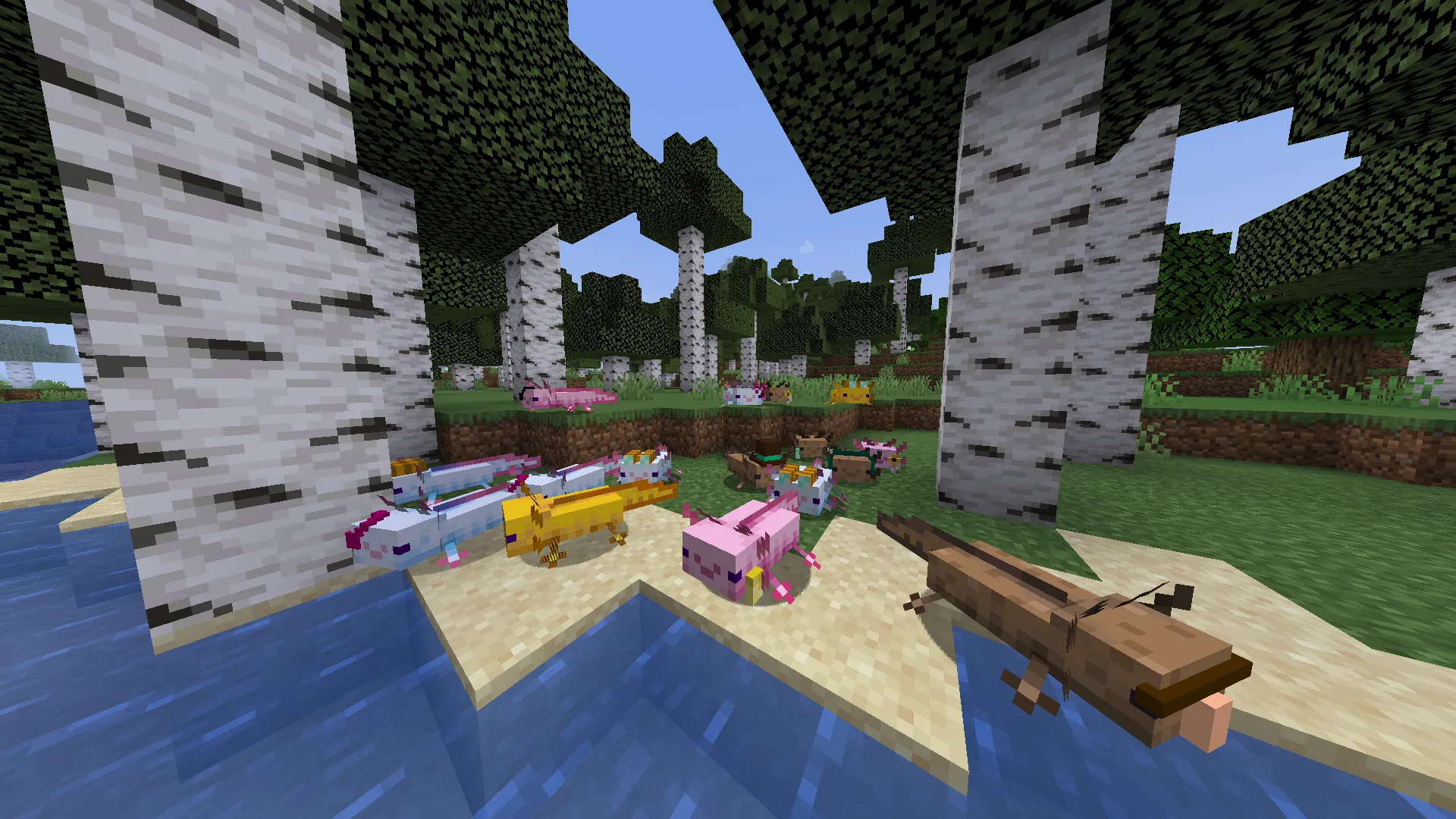 Axolotls with hats (vanilla/barebones version) — скриншот 1 (Текстуры, Minecraft)