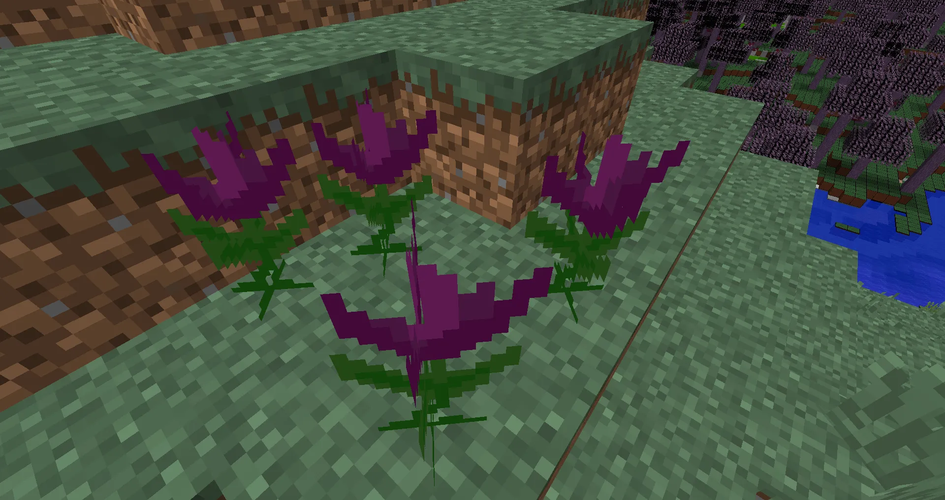 ManyThings, Моды, Minecraft