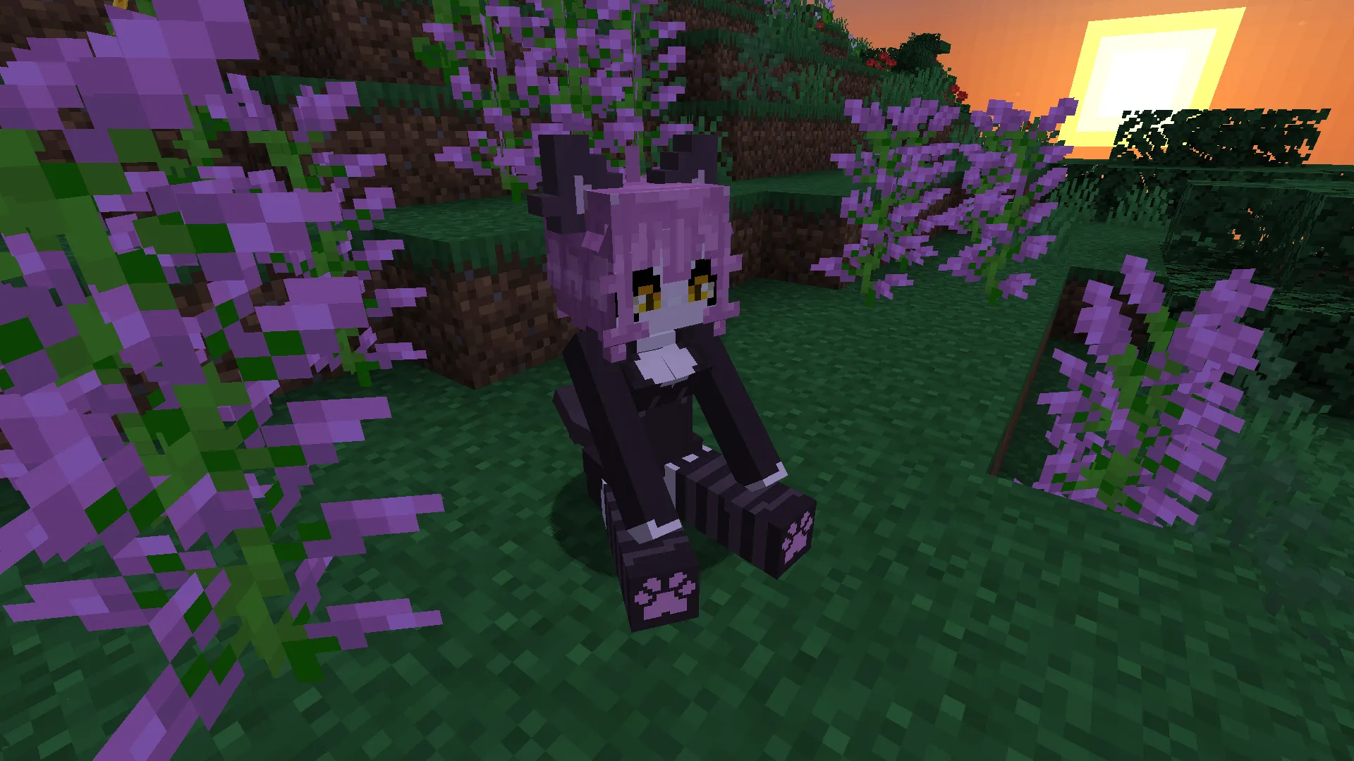 cat gal craft, Моды, Minecraft