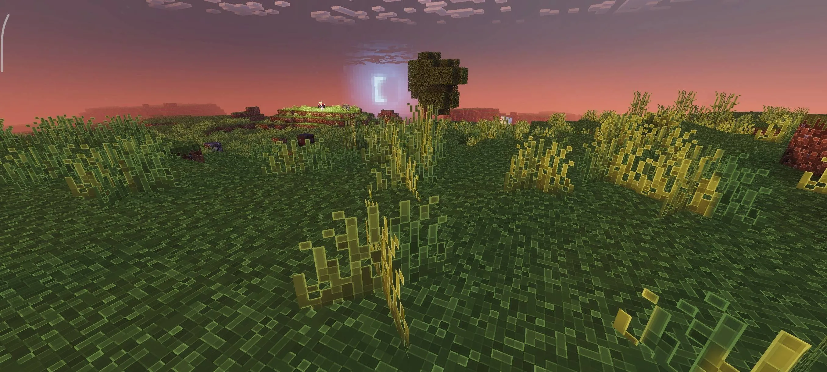 Outline Texture Pack JE, Текстуры, Minecraft