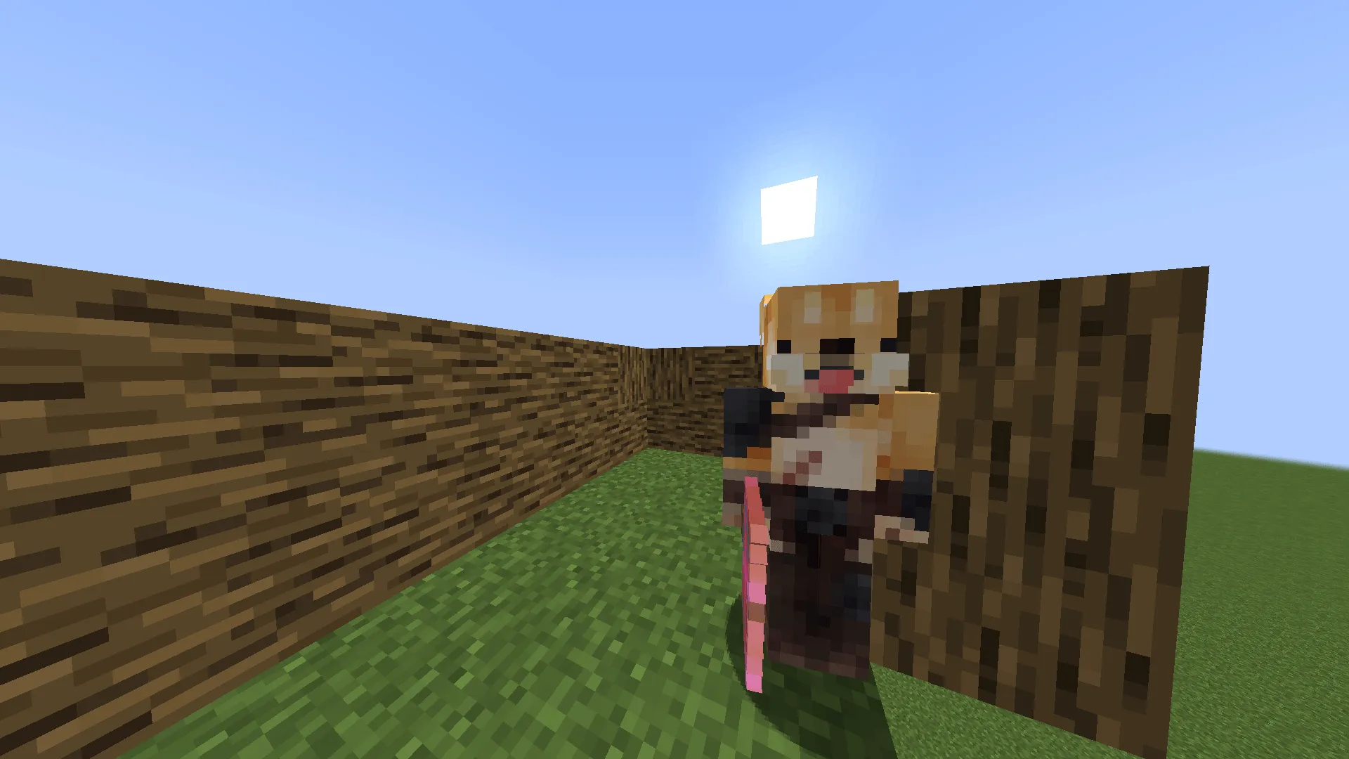 Angry's Armory, Моды, Minecraft