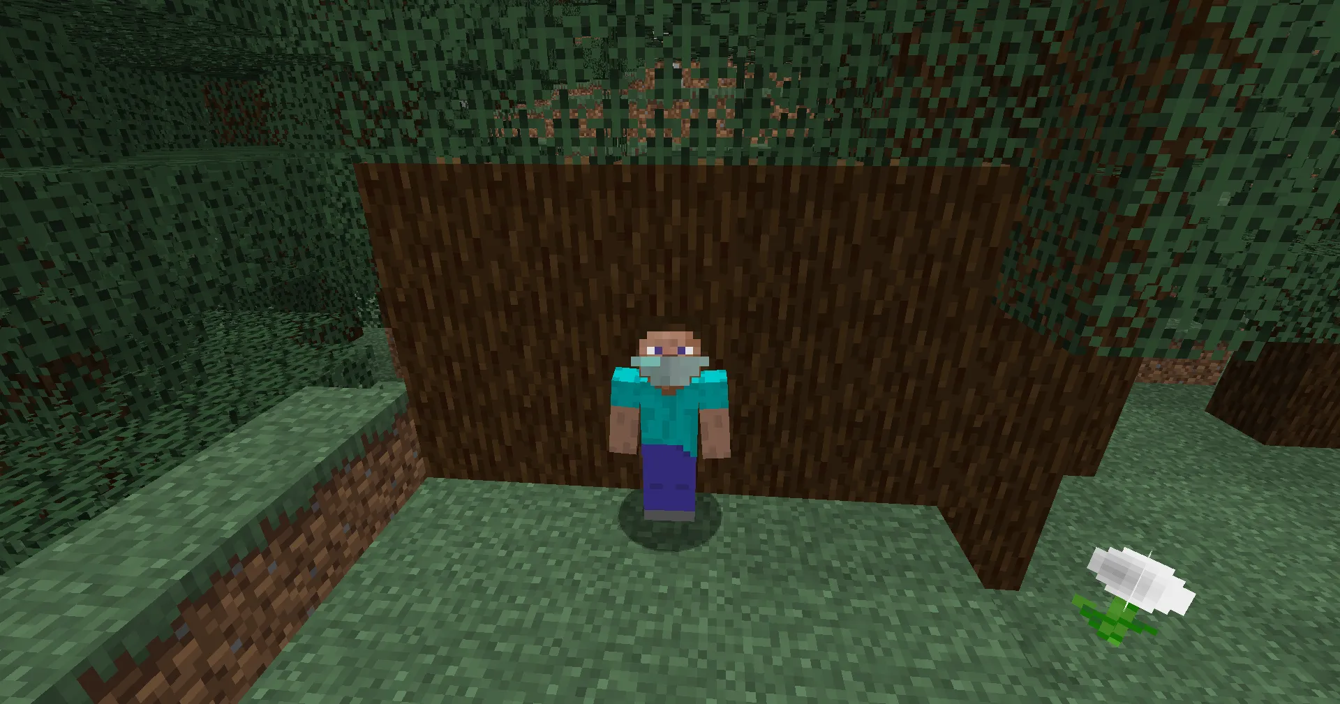 Dusk's Face Masks, Моды, Minecraft