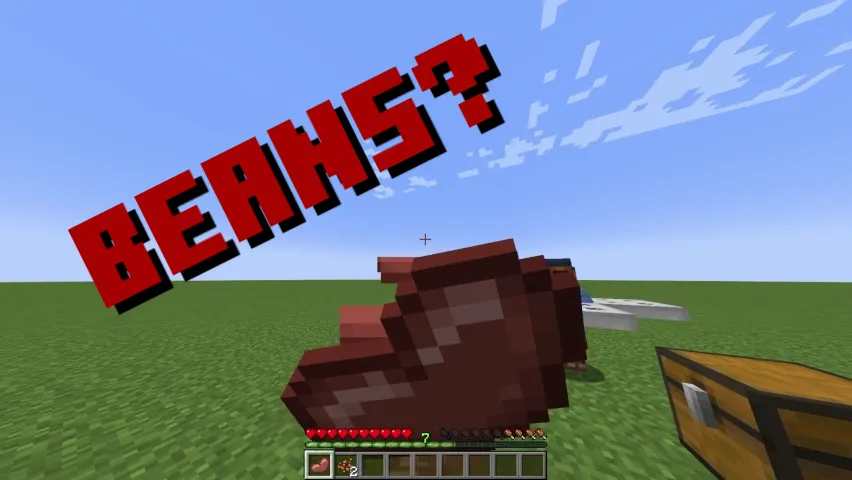 Forever Beans, Моды, Minecraft