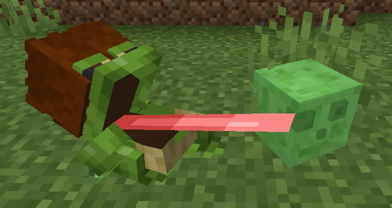 Zio's frogs, Текстуры, Minecraft