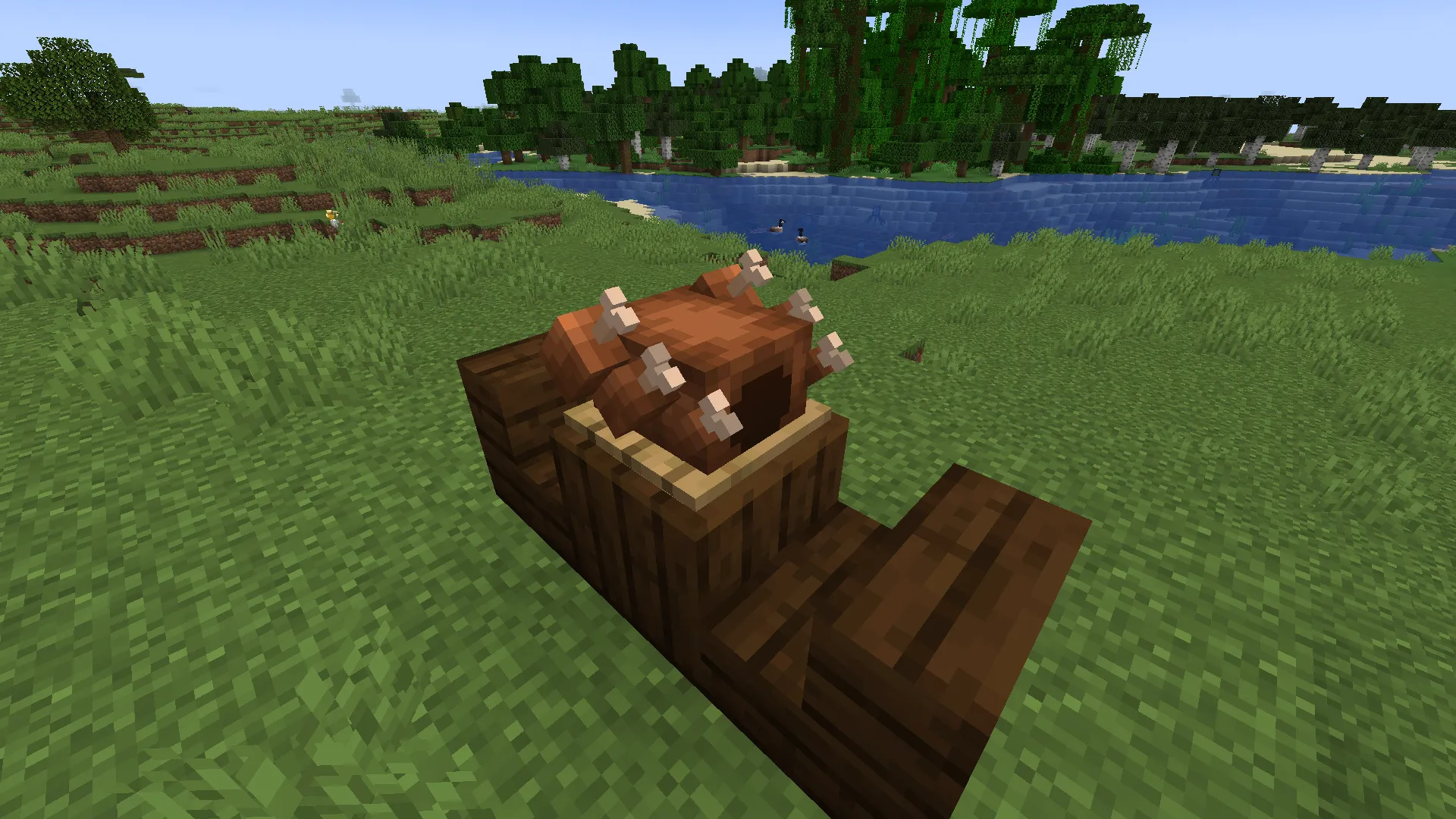 Hybrid Birds, Моды, Minecraft