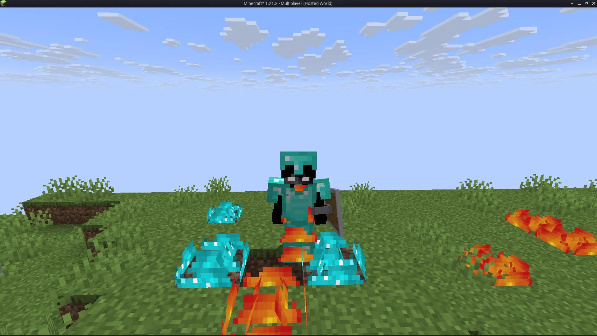 Low Fire & Side Shield, Текстуры, Minecraft