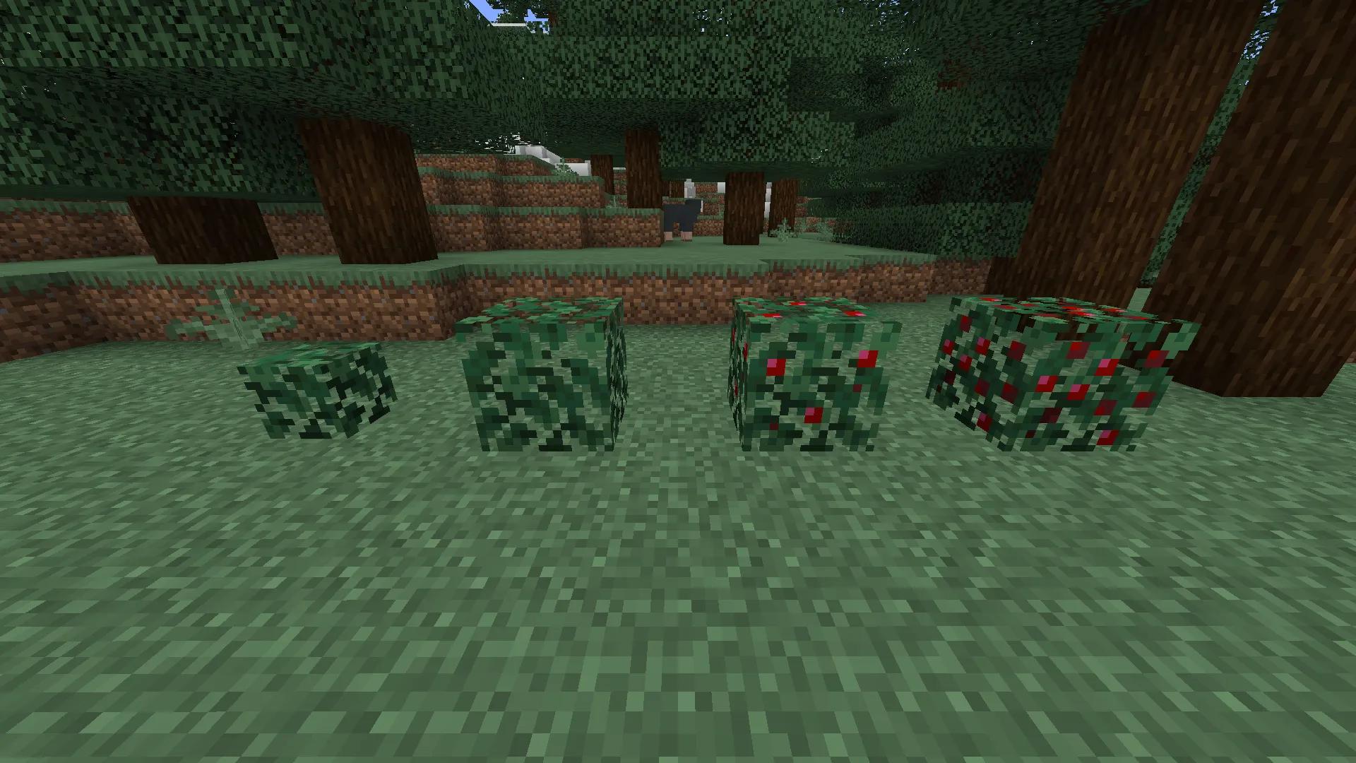 Block Berry Bushes — скриншот 1 (Текстуры, Minecraft)