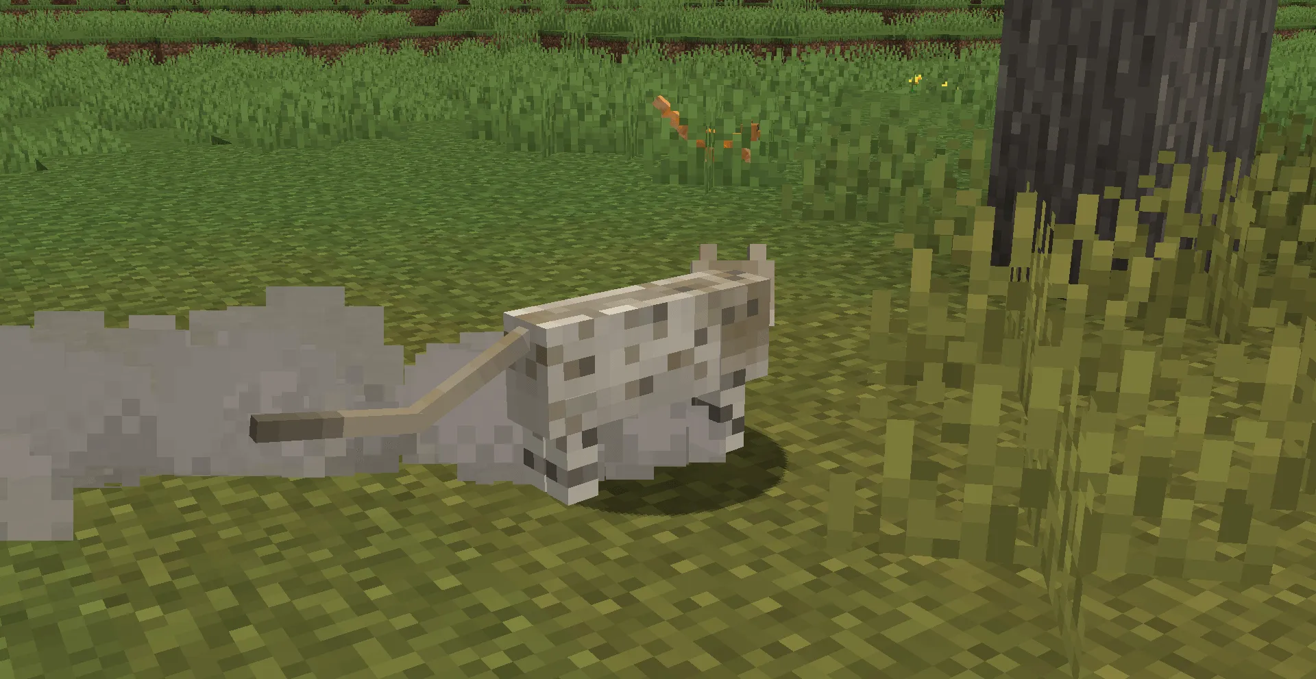 Warrior Cats Events, Моды, Minecraft