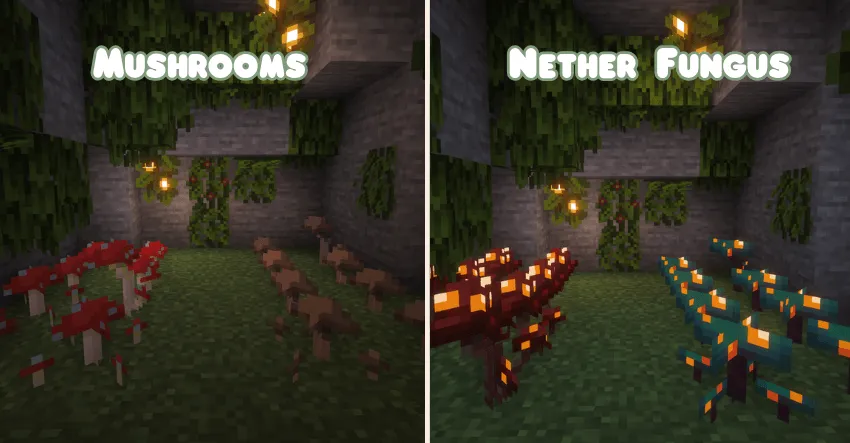 Lusher Foliage, Текстуры, Minecraft