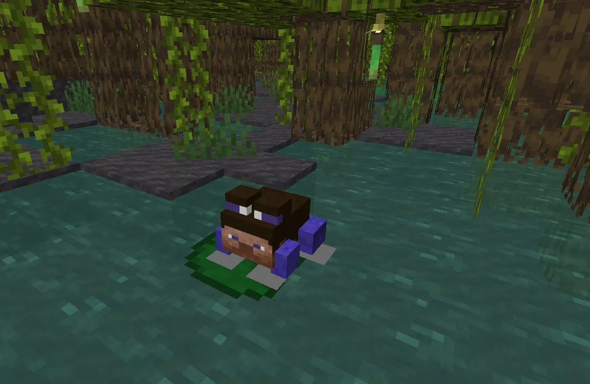 Everyone is Steve, Текстуры, Minecraft