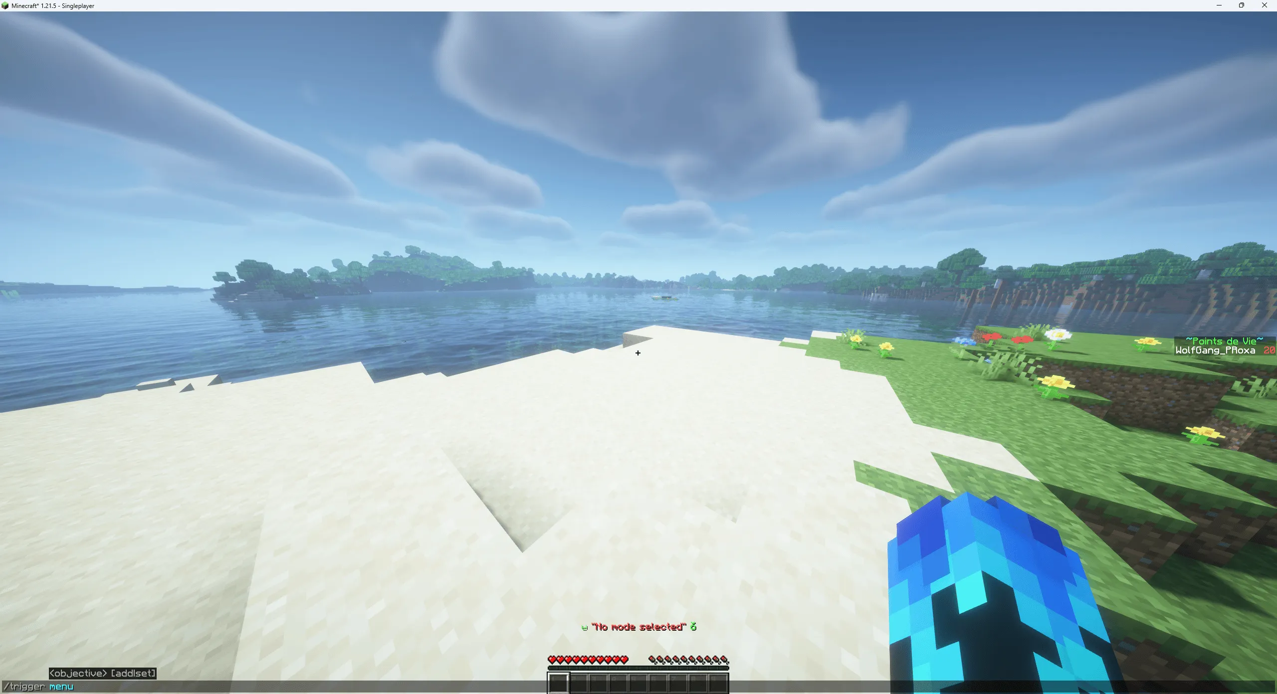 ~Speedrun Games~ (Download the Server Pack) — скриншот 1 (Модпаки, Minecraft)