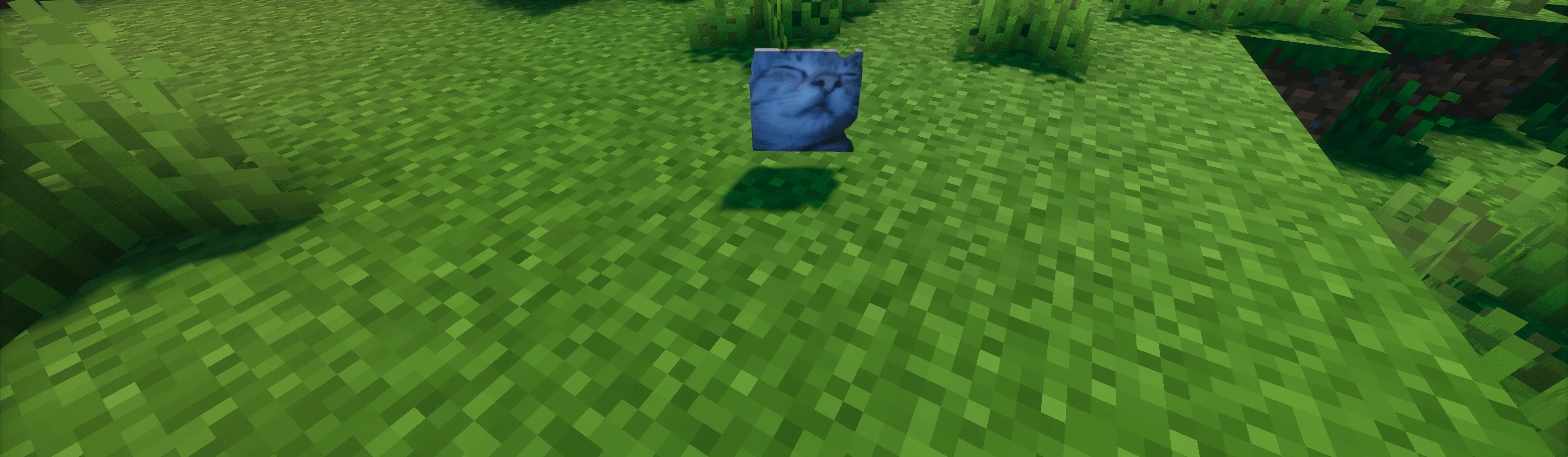 Cat Totem Pack, Текстуры, Minecraft