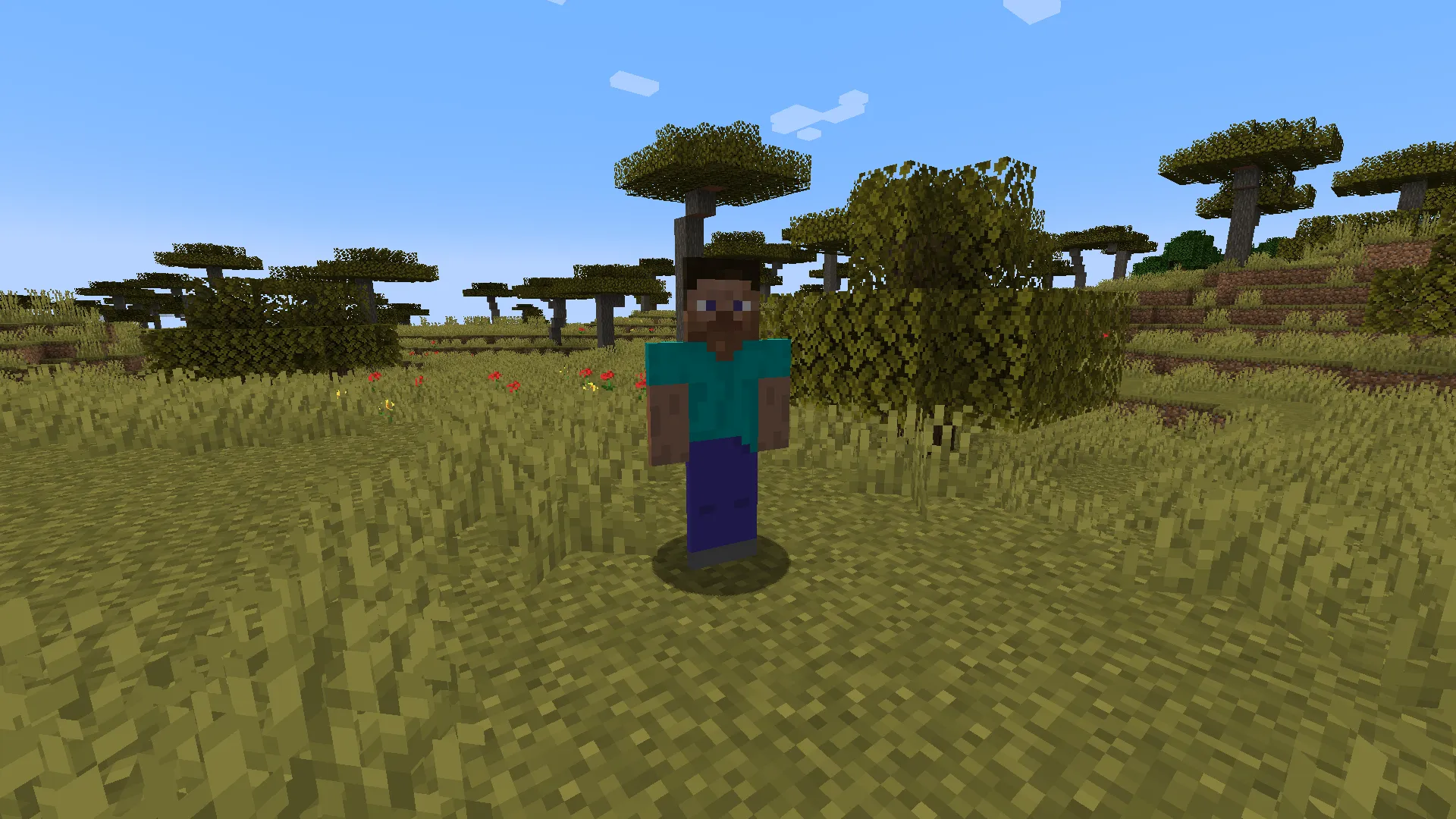 The Legend of Steve - The Ultimate Steve Overload! — скриншот 10 (Моды, Minecraft)