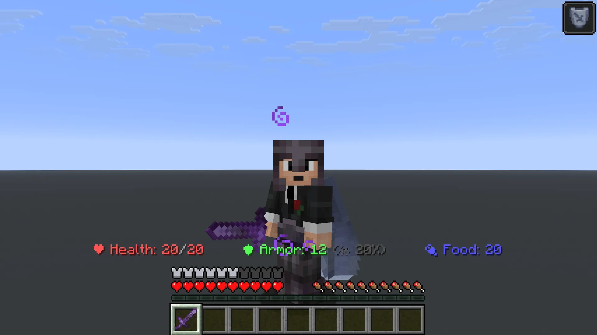 Professional Status Bar, Моды, Minecraft