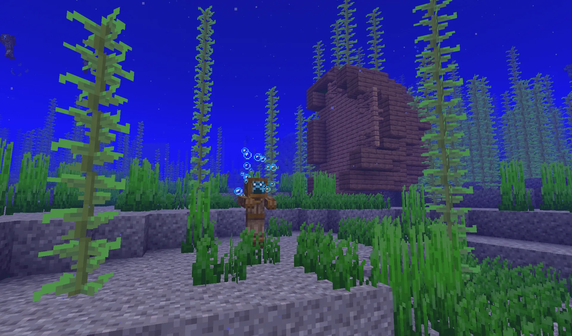 Withered Lands, Моды, Minecraft