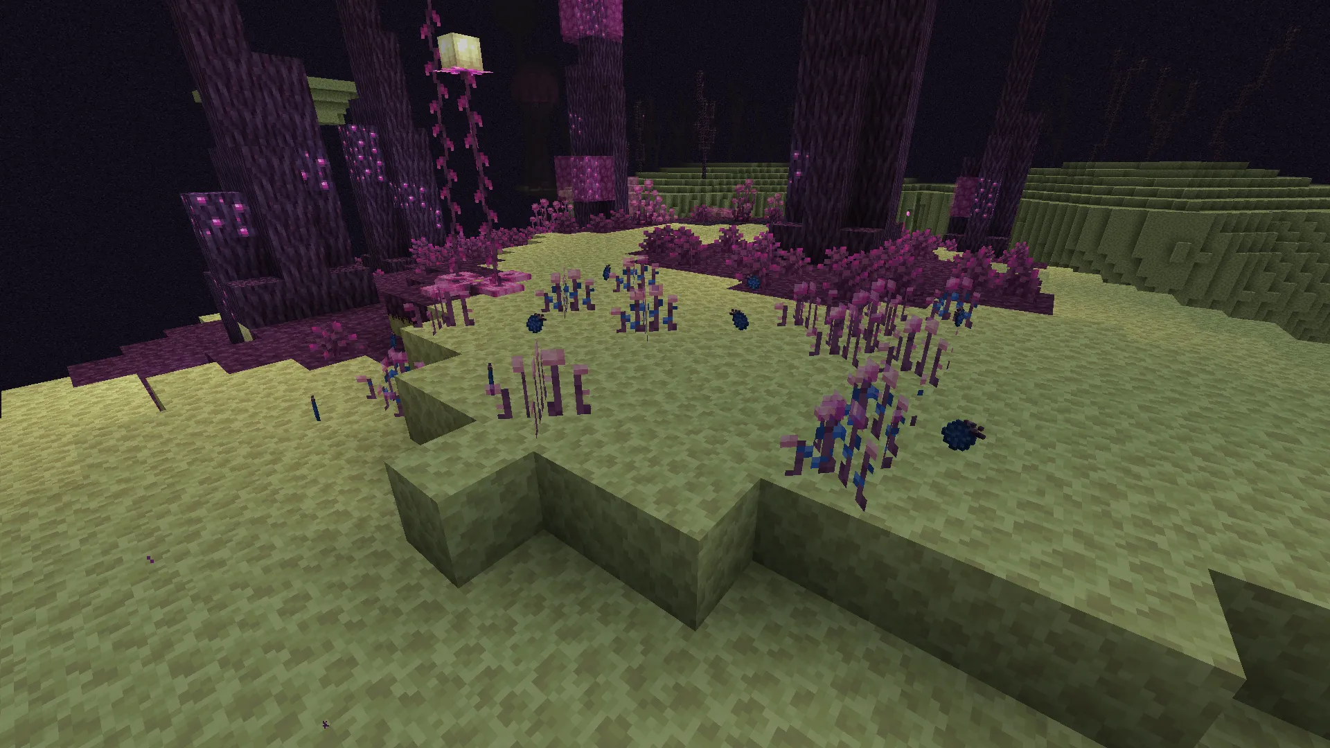 Raspberry Delight, Моды, Minecraft