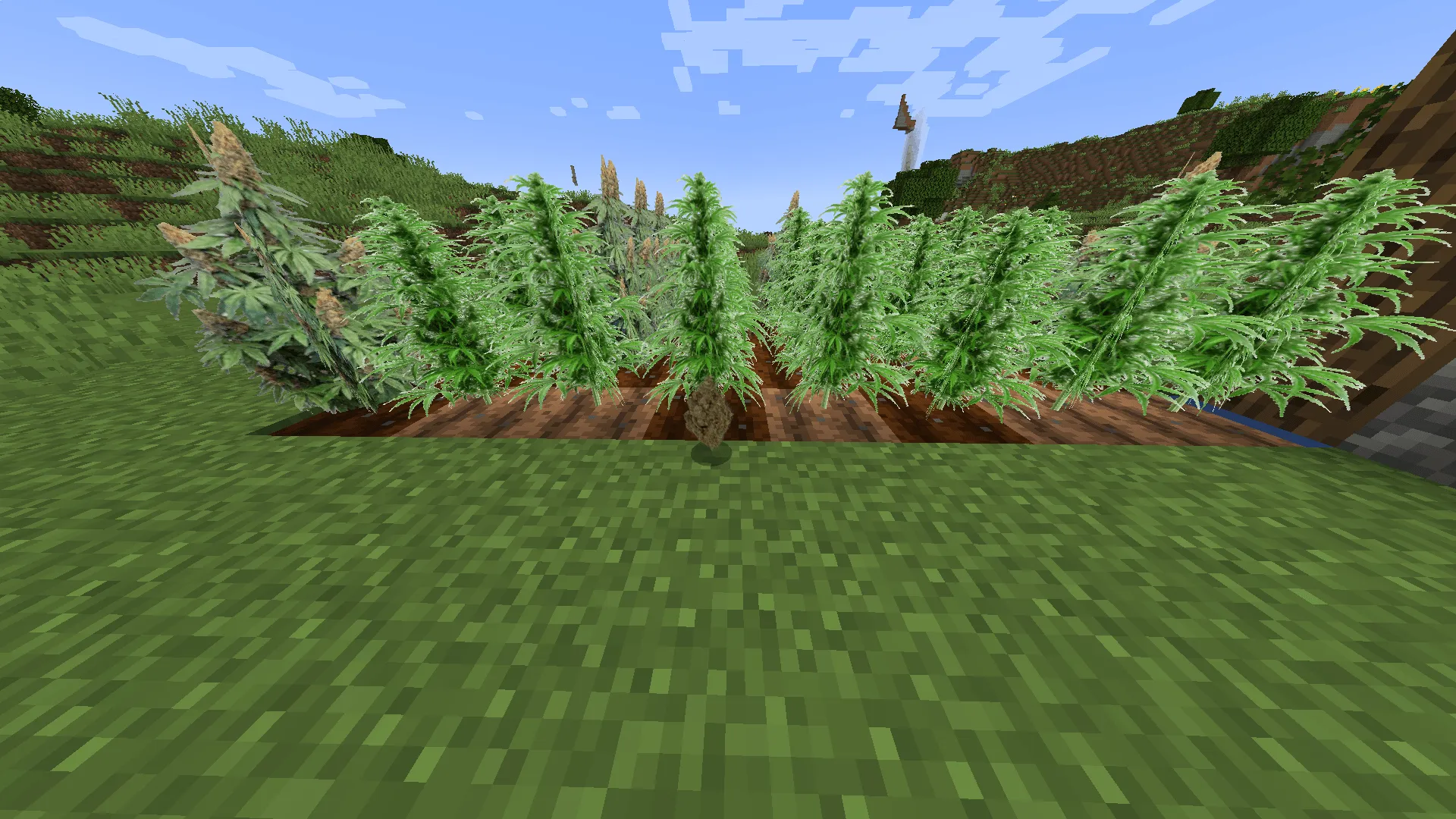 Herbcraft, Моды, Minecraft
